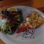 Leo aan de rivierkreeft