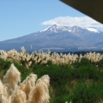 Mt Ruapehu vanuit de trein